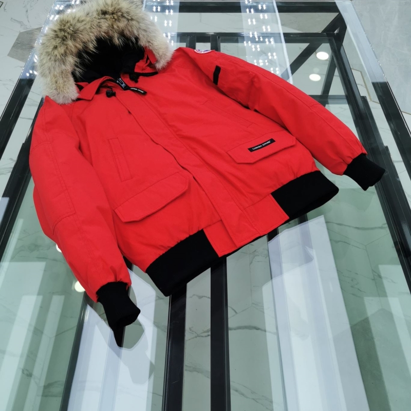 Moncler Down Coat